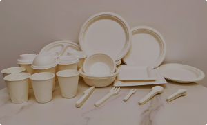 Eco-Friendly and Safe: Ecosource's Disposable Microwave Containers
